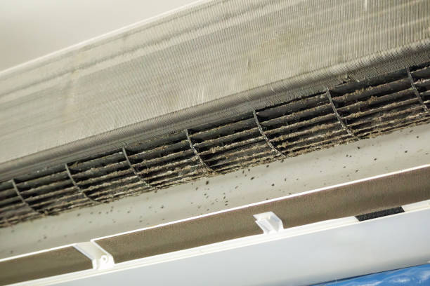 Air Duct Mold Removal in Santa Nella, CA